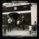 Fortunate Son album art